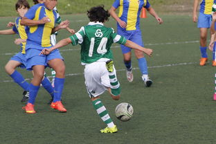 华体会官网体育-中国足球赛事直播流量与关注度指数追踪，中国足球关注度数据