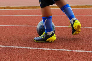 华体会官网安全-意甲年轻球员防守意识发展趋势研究，意甲年轻后卫