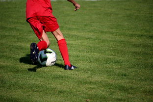 华体会登入-篮球运动员心理韧性培养与干预体系，篮球运动员的心理选材